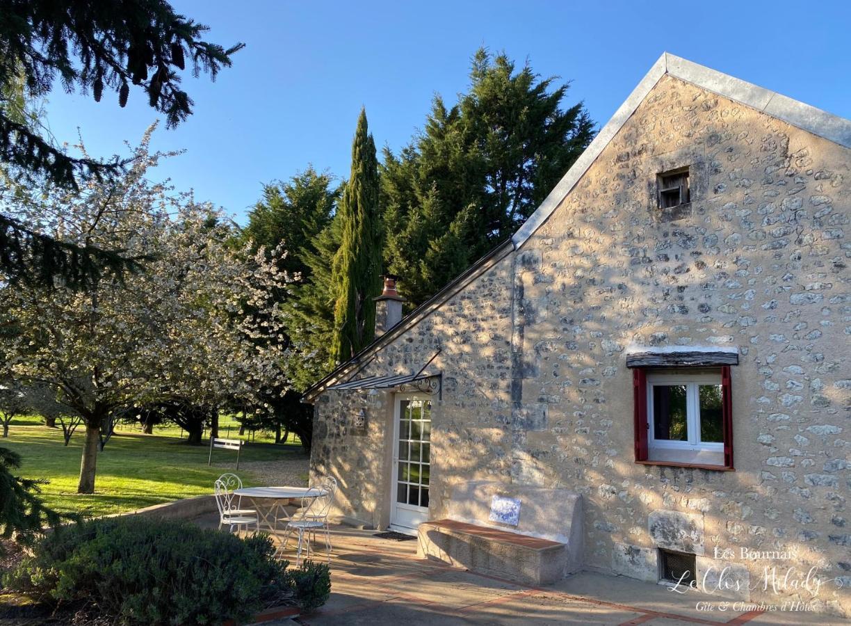 Chambres D'Hotes Les Bournais - Le Clos Milady L'Ile-Bouchard Exterior photo