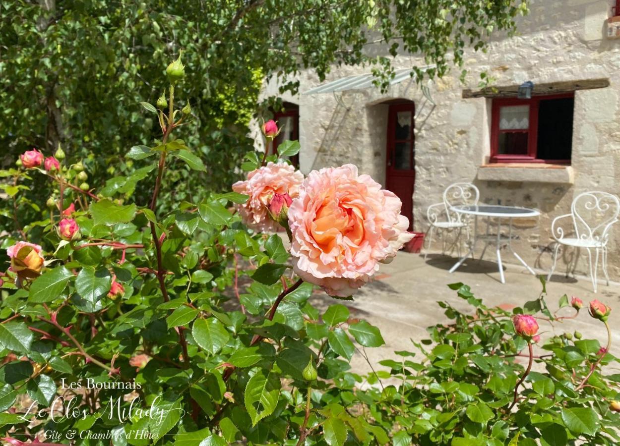 Chambres D'Hotes Les Bournais - Le Clos Milady L'Ile-Bouchard Exterior photo