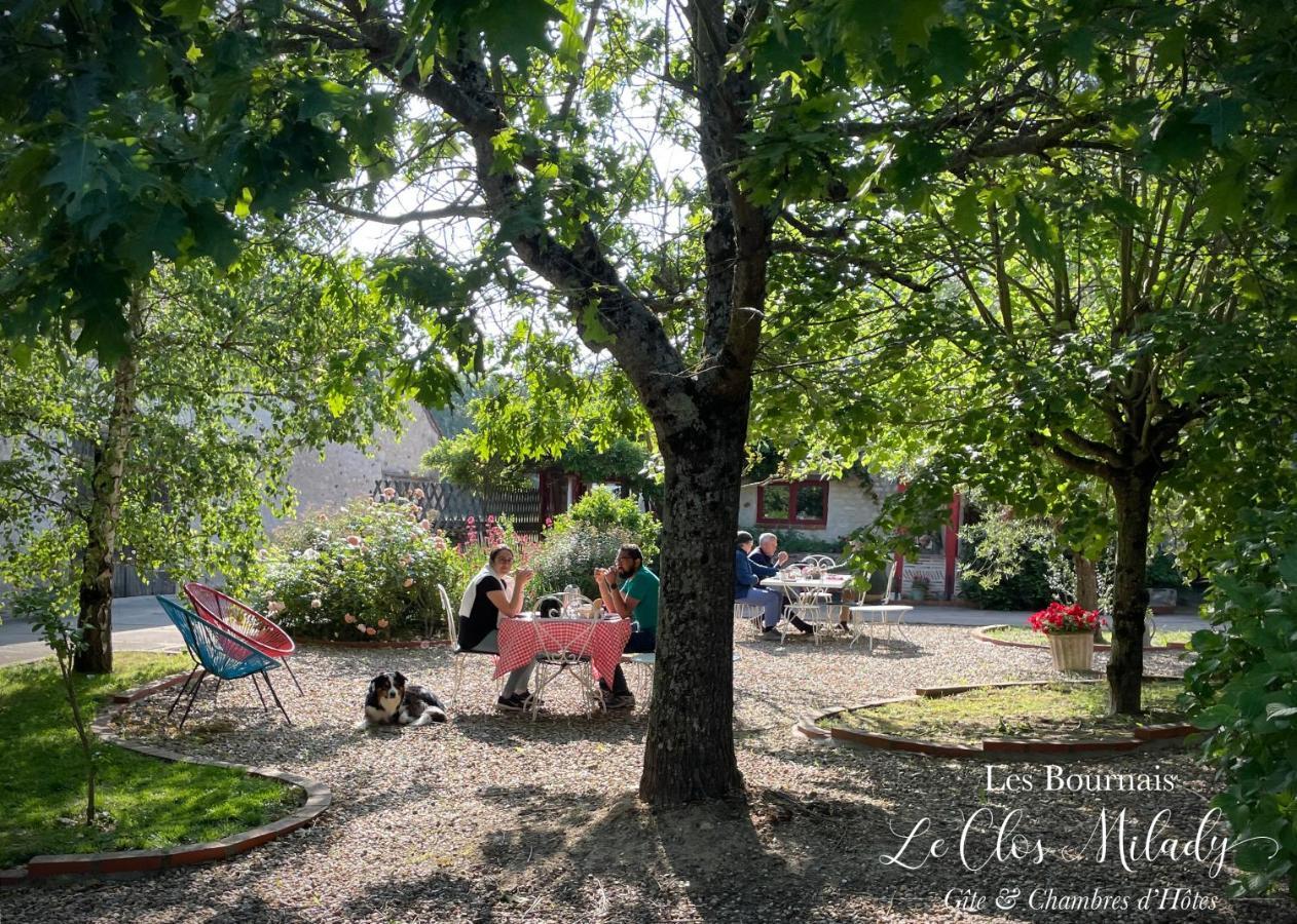 Chambres D'Hotes Les Bournais - Le Clos Milady L'Ile-Bouchard Exterior photo